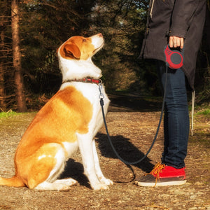 Trela Retrátil para Cães  Automática,3 M / 5 M